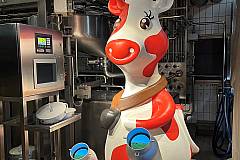 Begehbare Produktion Milchannahme