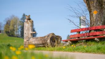 Hking around Affoltern i.E.