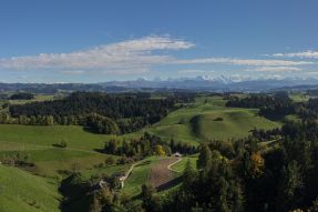 Conseils et recommandations